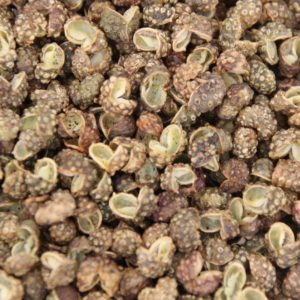 Baies de Sichuan vert