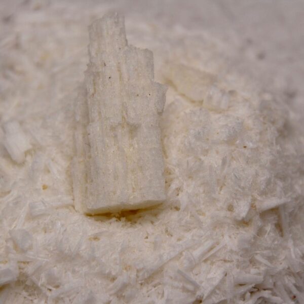 givre de sel d'égyptien